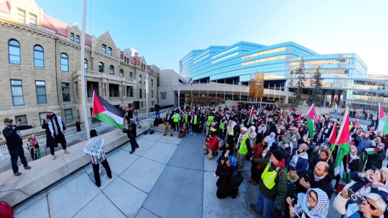 Palestinian Flag Raised at City Hall